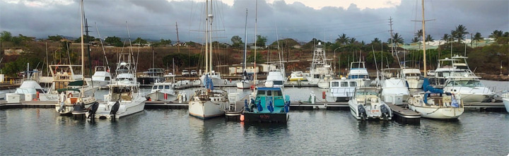 Ma'alaea Boat & Fishing Club